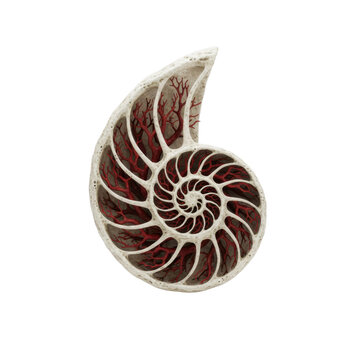 Abstract Nautilus Shell Sculpture with Intricate Red Vein Details