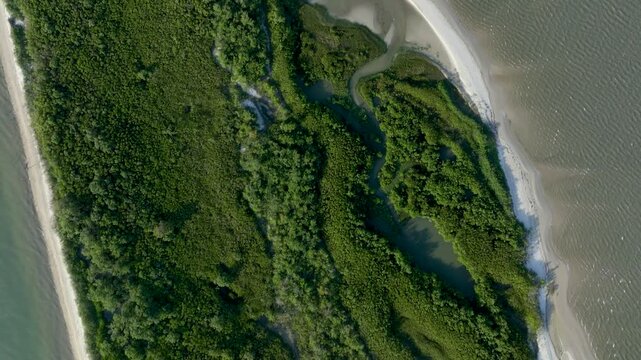 Florian&oacute;polis, Daniela Beach. Aerial View of Tropical Coastline. Establishing Shot. Santa Catarina, Brazil.