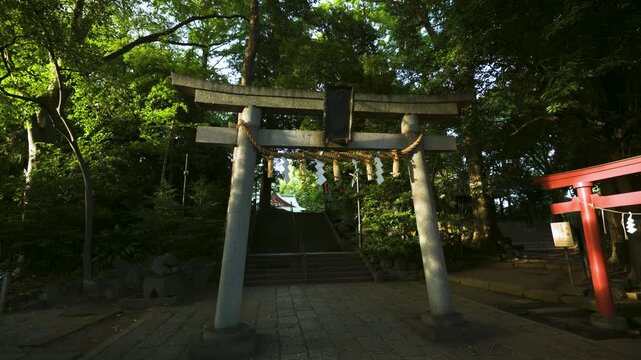 Grey torii in front of stairs in Tokyo, Japan