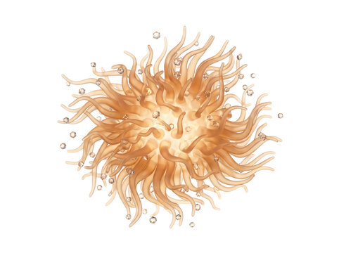 Floating 3d human olfactory sensory receptor cilia bonding with luminous fragrance scent molecules perfumery scientific concept on transparent background