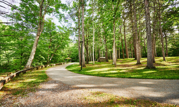 picnic and trail area within Saratoga Spa State Park, Saratoga Springs, New York