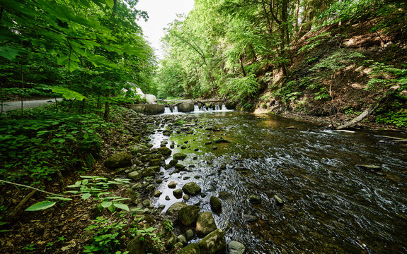 scenic stream flowing through Saratoga Spa State Park, New York