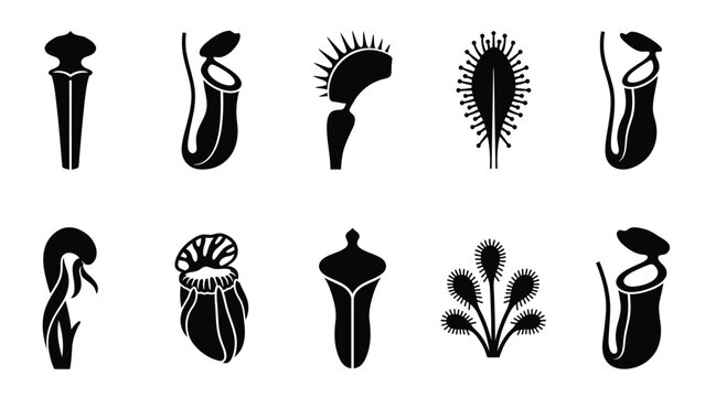 Carnivorous plant icons set featuring pitcher plants and venus flytraps for botanical studies