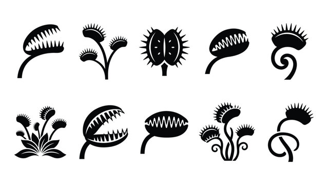 Set of black venus flytrap icons showing various stages of carnivorous plant traps