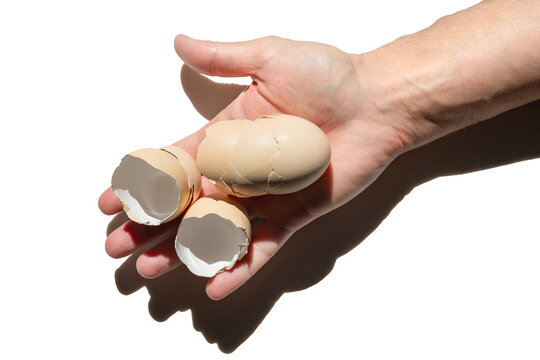 Chicken eggshells held in a man&rsquo;s hand isolated on a white background, contrast light with dark shadows