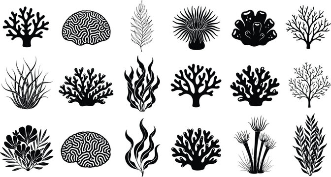 Set of black and white vector icons depicting corals seaweeds and marine plants with coral reef sea coral ocean plants underwater flora