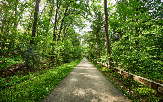 Hiking trail through Saratoga Spa State Park in Saratoga Springs, New York.