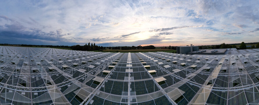 Aerial Panoramic View of Vast Commercial Greenhouse Complex at Sunset in Rijkevorsel, Belgium
