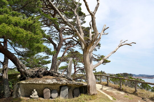 Matsushima Oshima Island ancient stone statues and dead tree landscape
