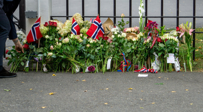 Person placing flowers honoring King Harald V at national mourning