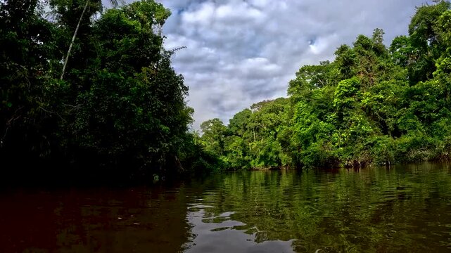 Wide Amazon River Bend in Ecuador with Dense Green Rainforest, Brown Water, Cloudy Sky and Remote Tropical Wilderness Travel Landscape