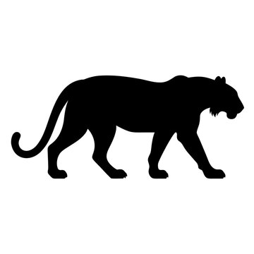 lion vector illustration