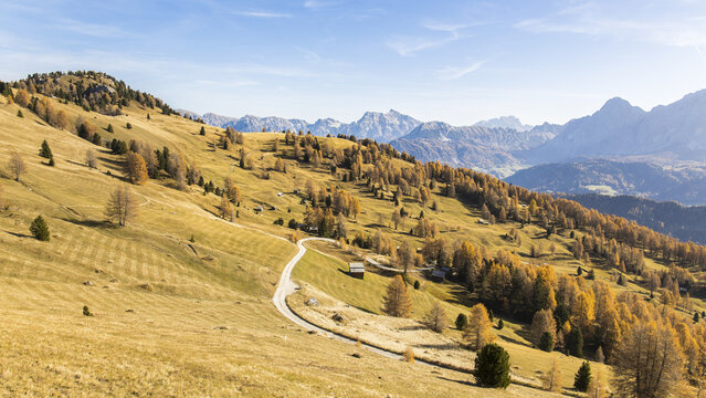View of Peitlerkofel mountain landscape with golden autumn larch trees, a winding dirt path, and traditional wooden huts in the Dolomites, Brixen, Trentino-Alto Adige, Italy.