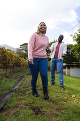 Naklejka premium African American couple walking along grassy vineyard path, woman wearing pink sweater smiling