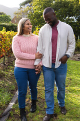 Naklejka premium Diverse couple walking linking arms through vineyard path beside vines with man wearing wristwatch