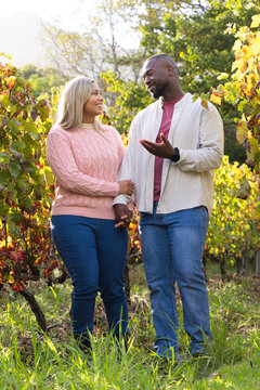 Couple walking holding hands in vineyard with trellis vines and fall foliage in jeans