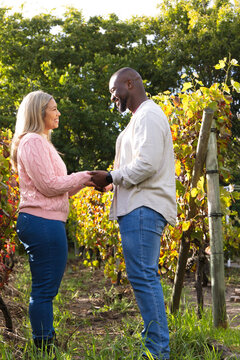 African American couple holding hands smiling in vineyard row among wooden trellis and wristwatch