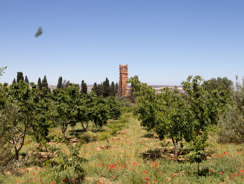 El Mansourah &ndash; Tlemcen, Algeria
Discover El Mansourah, one of Tlemcen&rsquo;s most iconic historical sites in Algeria. Its impressive medieval ruins stand as a reminder of the region&rsquo;s rich heritage, offeri