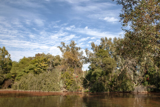 View of Whispering Hill Lake with lush trees lining the calm water under a blue sky with wispy clouds in Yazman, Punjab, Pakistan.