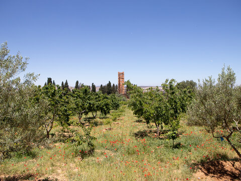 El Mansourah &ndash; Tlemcen, Algeria
Discover El Mansourah, one of Tlemcen&rsquo;s most iconic historical sites in Algeria. Its impressive medieval ruins stand as a reminder of the region&rsquo;s rich heritage, offeri