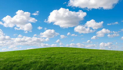 Obraz premium Vibrant green grass meadow field under clear blue sky with white clouds on sunny day
