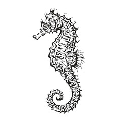 Detailed black ink sketch illustration of a seahorse on white background © Sharmin