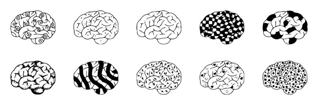Brain set with various textures featuring organic lines, checkerboard pattern, dotted design with abstract forms and neurological details