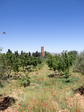 El Mansourah &ndash; Tlemcen, Algeria
Discover El Mansourah, one of Tlemcen&rsquo;s most iconic historical sites in Algeria. Its impressive medieval ruins stand as a reminder of the region&rsquo;s rich heritage, offeri