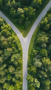A realistic Y-shaped road junction branches through dense vibrant green forest, captured from a high vertical aerial perspective.