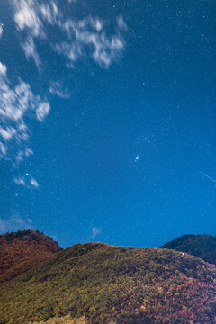 A nocturnal landscape featuring a deep blue starry sky with soft clouds, above forested autumn mountain slopes under dim moonlight.