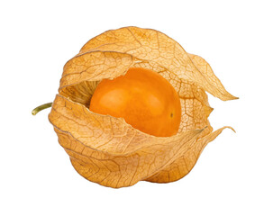 Golden berry fruit with dried husk isolated on transparent background © maximon4ik
