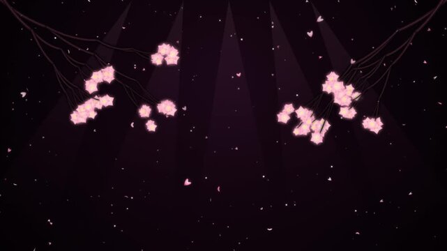 Animated Cherry Blossoms Falling Gently, Creating a Looping Floral Animation Against a Dark Purple Background