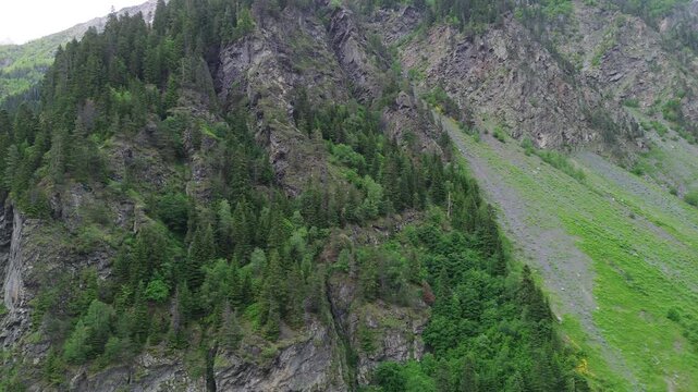 Static 4K drone footage flies laterally close to pine-covered cliffs at 100m altitude in Tekhuri gorge, Georgia. Smooth side shot along rocky mountain slopes. Raw unedited video.