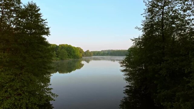 Cinematic slow drone shot capturing low fog and mist over Obersee in Bielefeld. Flying birds above the lake water surface with scenic trees under soft morning sunlight, peaceful autumn landscape.