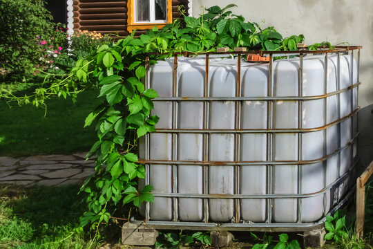 Garden water tank on a summer day
