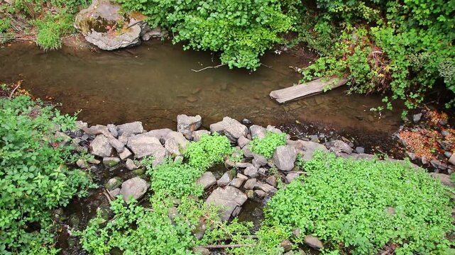 A tranquil little mountain stream flows through a slate gorge as healthy ecosystem and idyllic hiking path through mountain gorge cascade river flow or slate gorge cascade creek flow.