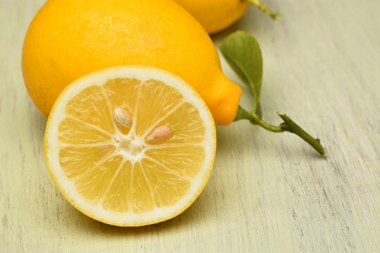 Lemon Still Life. A slice of a ripe juicy lemon leaning on a whole lemon.