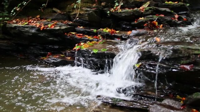 A tranquil little mountain stream flows through a slate gorge as healthy ecosystem and idyllic hiking path through mountain gorge cascade river flow or slate gorge cascade creek flow.