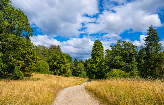 Scenic country path through Mulgrave Woods near Whitby, surrounded by golden summer grass and lush green trees beneath a dramatic cloudy sky.