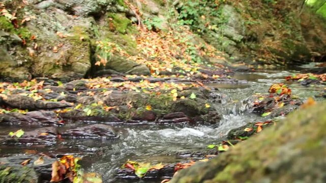 A tranquil little mountain stream flows through a slate gorge as healthy ecosystem and idyllic hiking path through mountain gorge cascade river flow or slate gorge cascade creek flow.