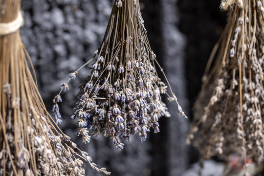 Hanging bundles of dried lavender create a rustic floral display perfect for home decor, aromatherapy, craft projects, and seasonal styling. Soft purple blooms and textured stems