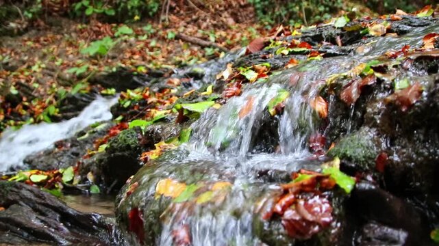 A tranquil little mountain stream flows through a slate gorge as healthy ecosystem and idyllic hiking path through mountain gorge cascade river flow or slate gorge cascade creek flow.