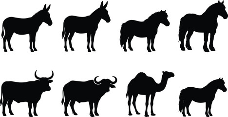 Obraz premium Domestic and working farm animals silhouette set featuring horse donkey bull buffalo pony and camel side view