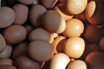 Fresh Brown Eggs Piled in a Farm Basket © nsiswan