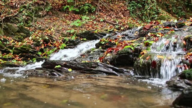 A tranquil little mountain stream flows through a slate gorge as healthy ecosystem and idyllic hiking path through mountain gorge cascade river flow or slate gorge cascade creek flow.