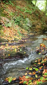 A tranquil little mountain stream flows through a slate gorge as healthy ecosystem and idyllic hiking path through mountain gorge cascade river flow or slate gorge cascade creek flow.
