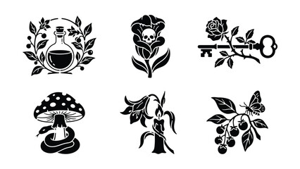 Fototapeta premium Mystical Black And White Botanical And Fantasy Illustration Symbols With Transparent Background