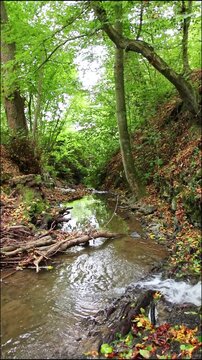 A tranquil little mountain stream flows through a slate gorge as healthy ecosystem and idyllic hiking path through mountain gorge cascade river flow or slate gorge cascade creek flow.