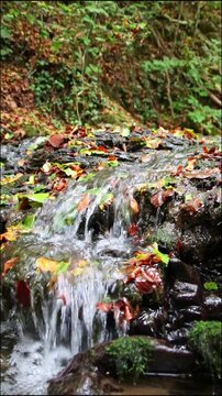 A tranquil little mountain stream flows through a slate gorge as healthy ecosystem and idyllic hiking path through mountain gorge cascade river flow or slate gorge cascade creek flow.