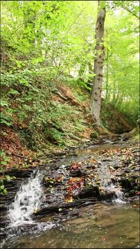 A tranquil little mountain stream flows through a slate gorge as healthy ecosystem and idyllic hiking path through mountain gorge cascade river flow or slate gorge cascade creek flow.
